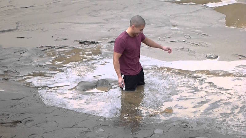 Areia movediça existe? Saiba tudo sobre esse estranho fenômeno